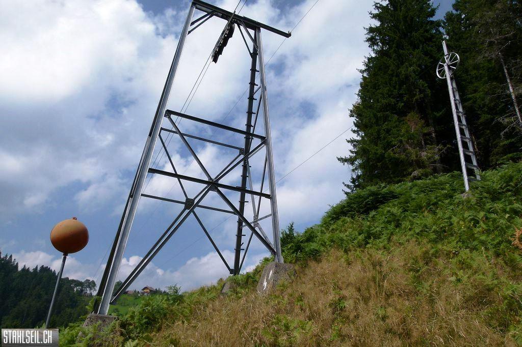 k-P1520157.JPG