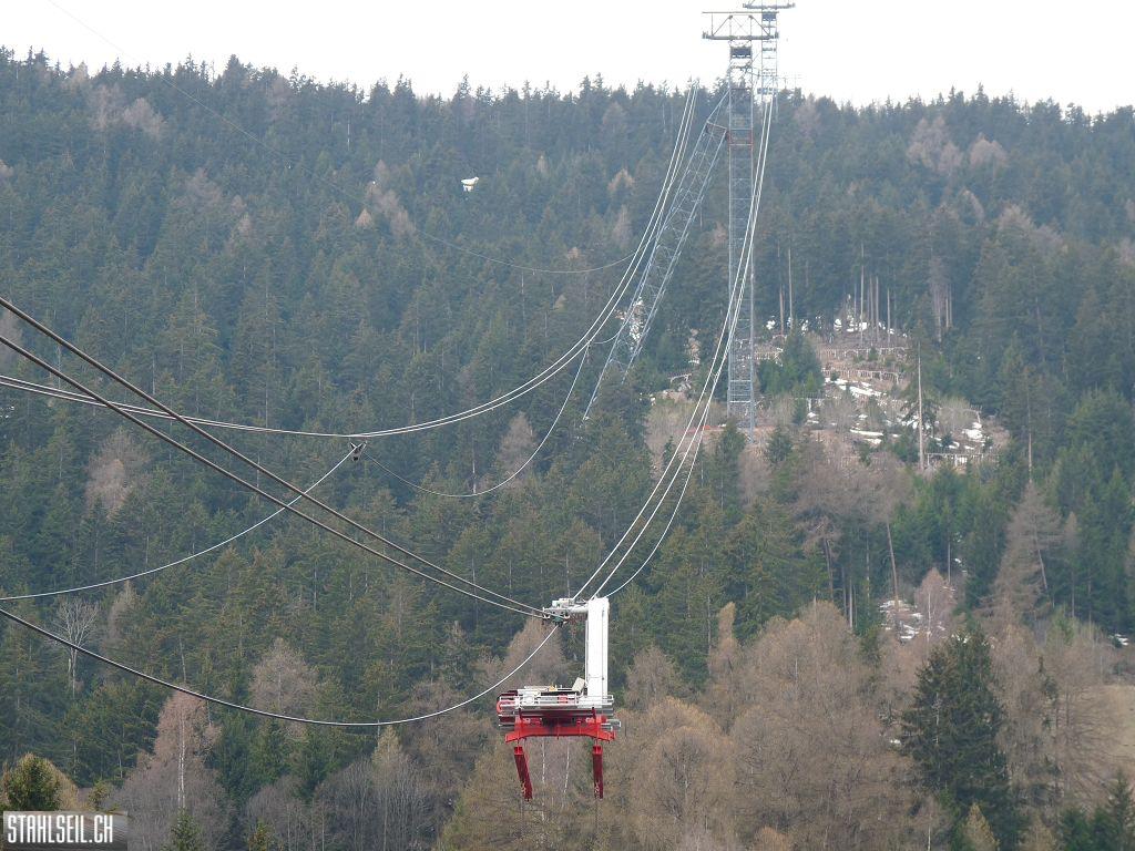 k-P1360569.JPG