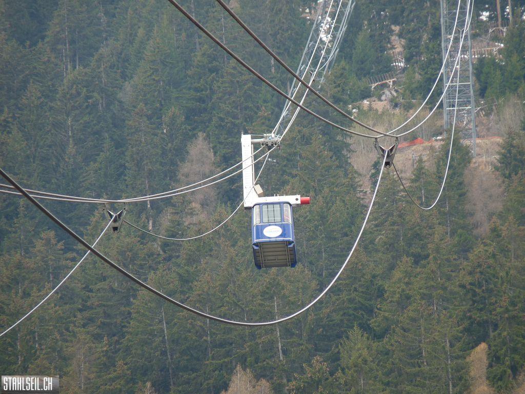 k-P1360587.JPG