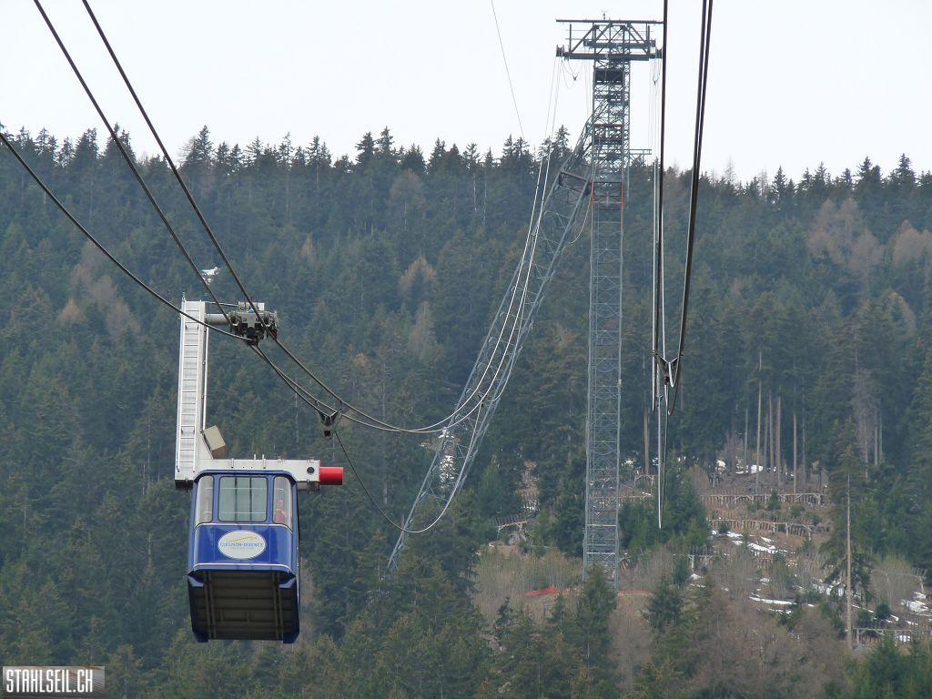 k-P1360590.JPG
