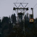 k-P1540783.JPG
