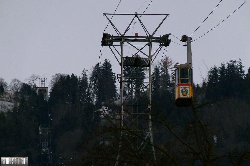k-P1540783.JPG