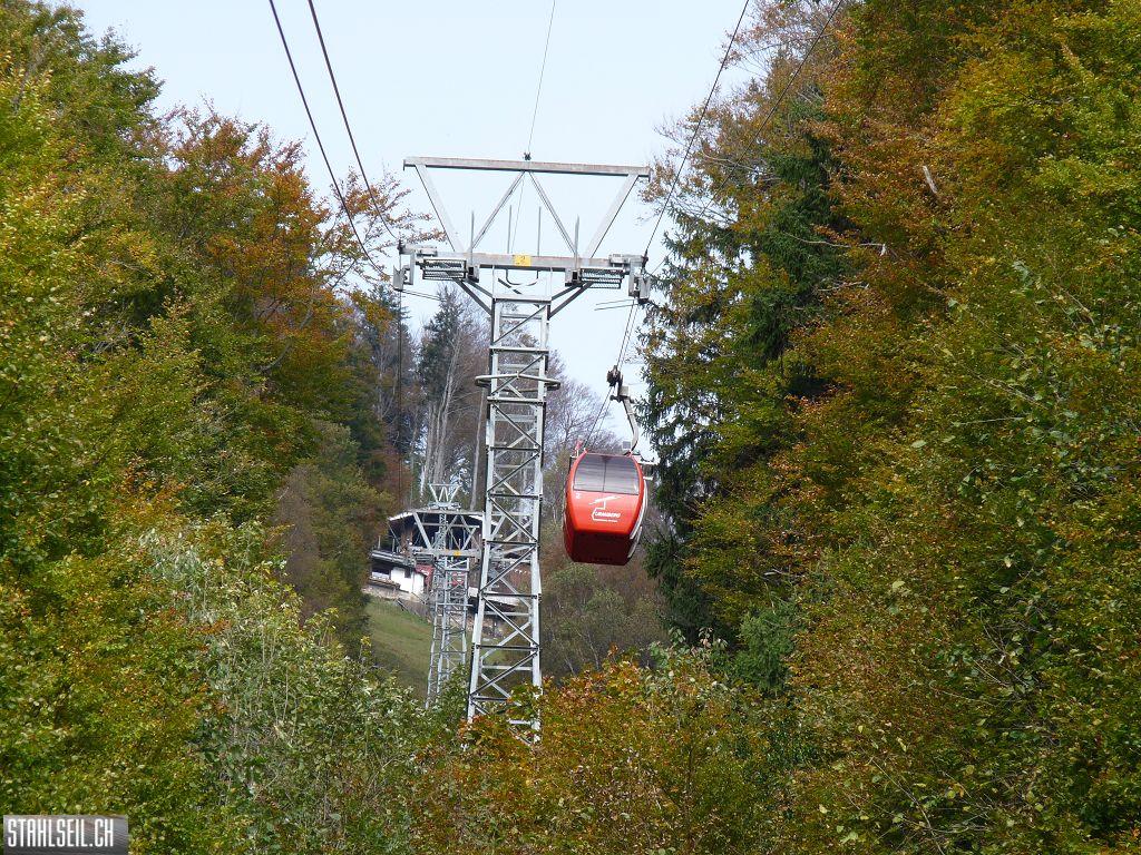 k-P1500034.JPG