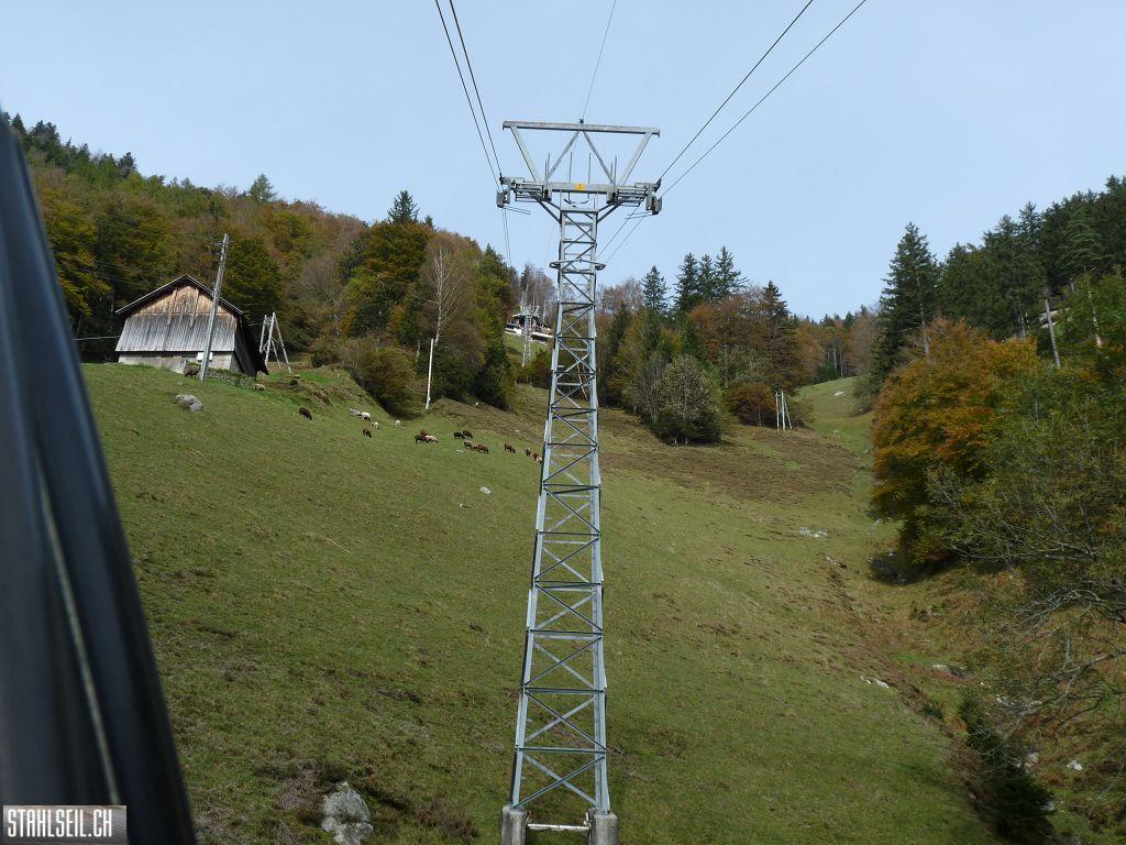k-P1500042.JPG