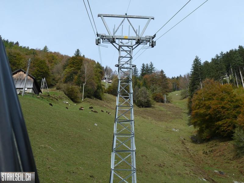 k-P1500043.JPG