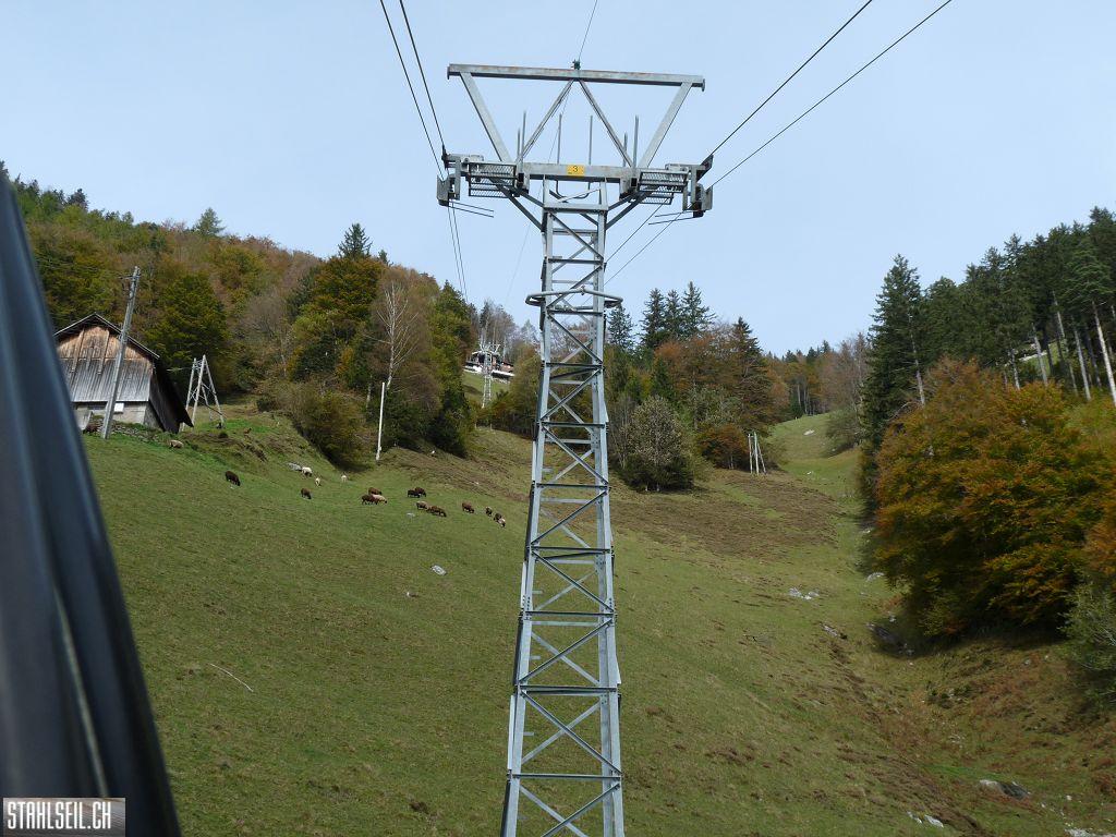 k-P1500043.JPG