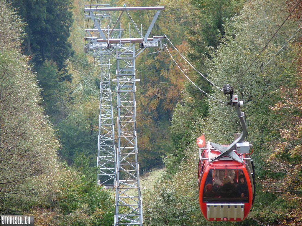 k-P1500059.JPG