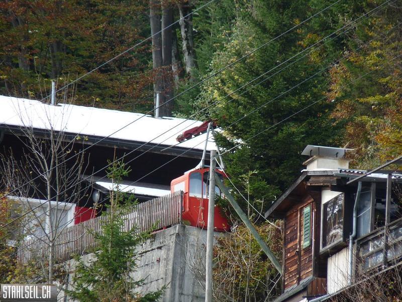 k-P1500077.JPG