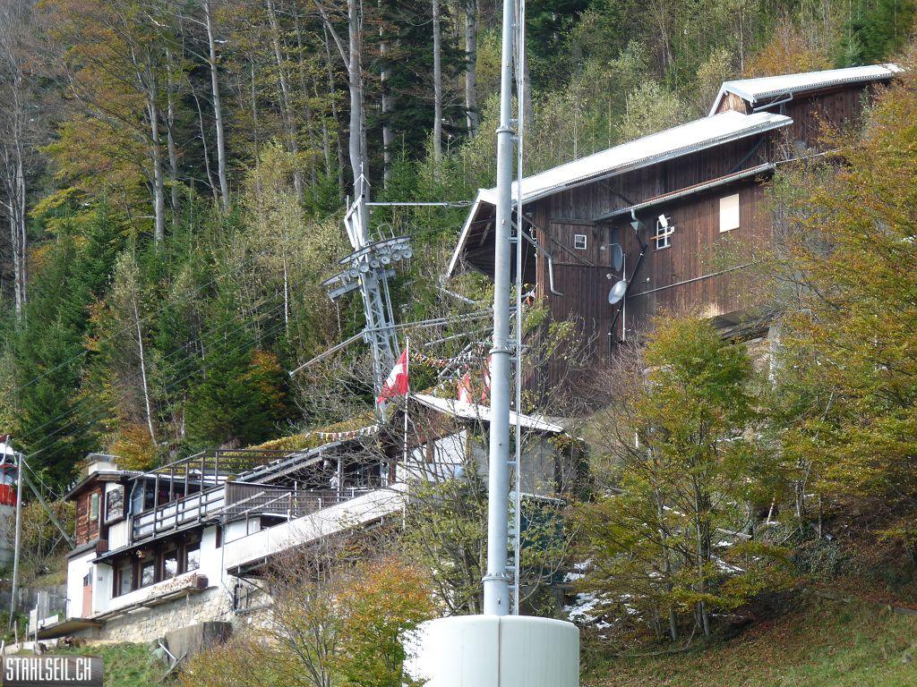 k-P1500079.JPG