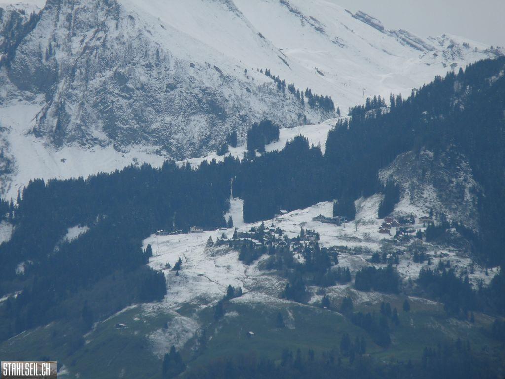 k-P1500093.JPG