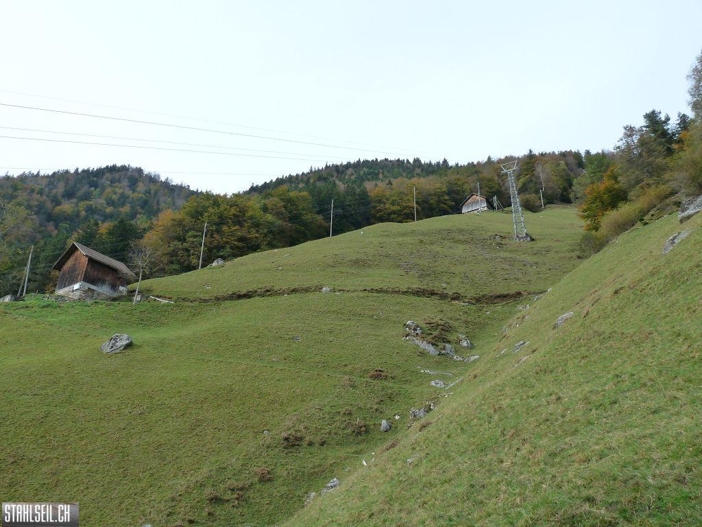 k-P1500110.JPG