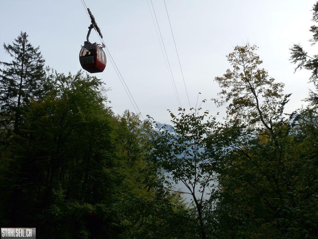 k-P1500111.JPG