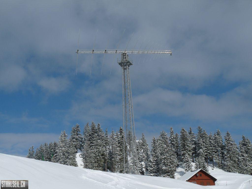 k-P1300968.JPG