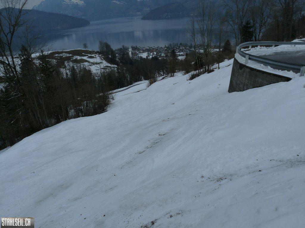 k-P1310061.JPG
