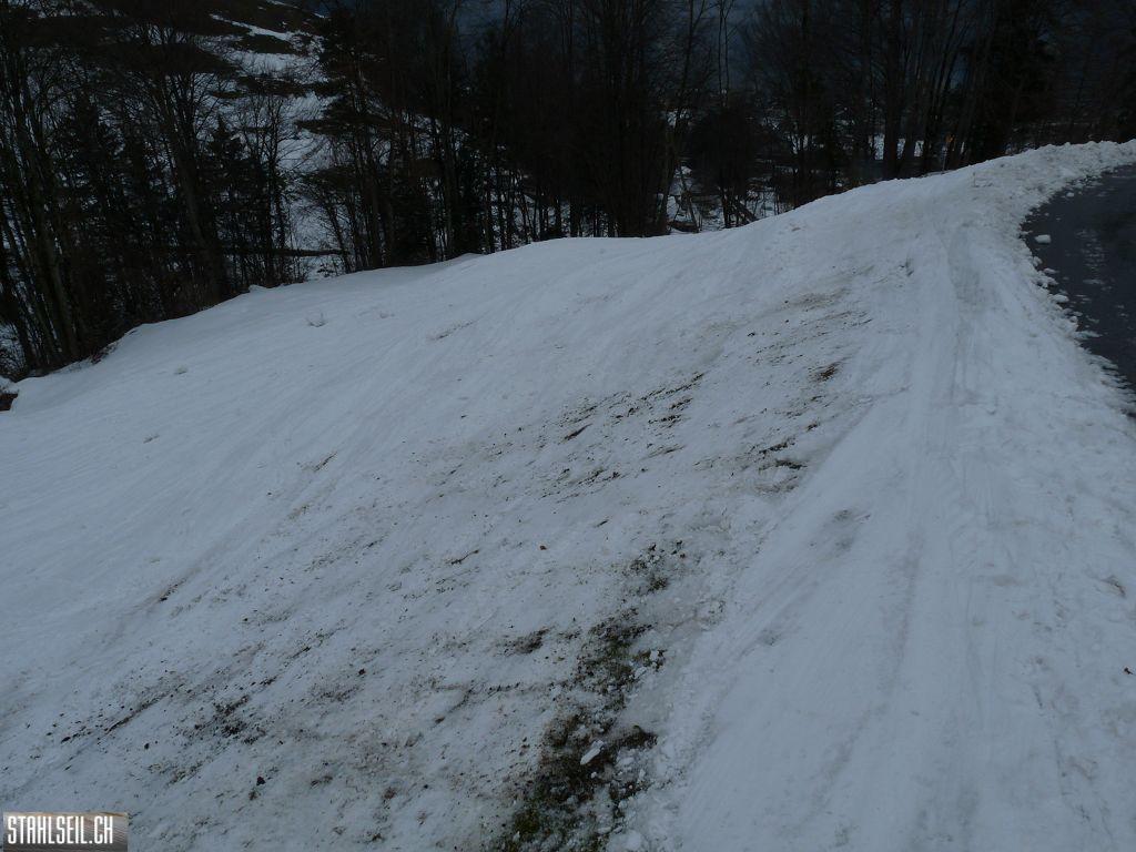 k-P1310064.JPG