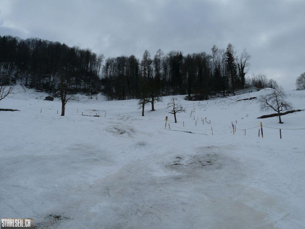 k-P1310070.JPG