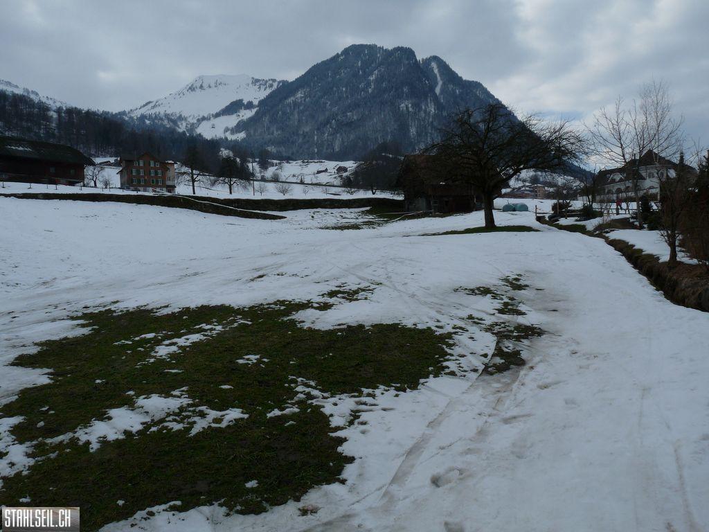 k-P1310083.JPG