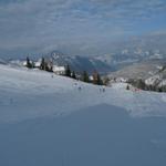 k-P1310183.JPG