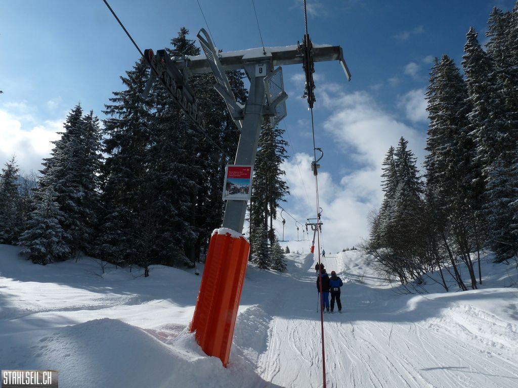 k-P1300956.JPG