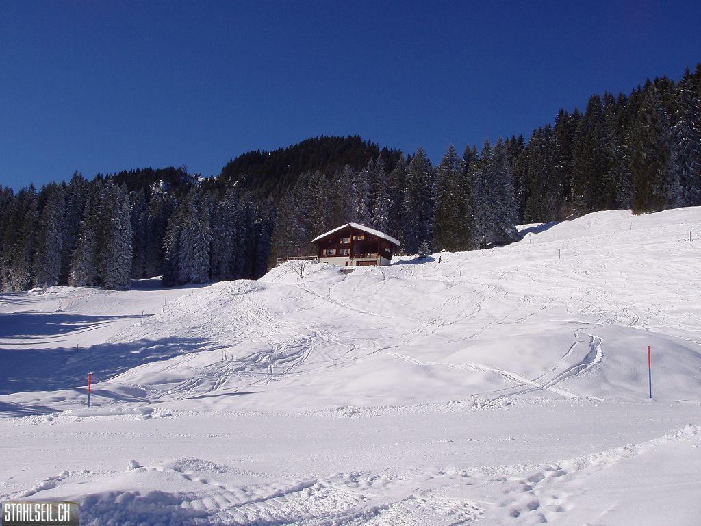 k-P1230075.JPG