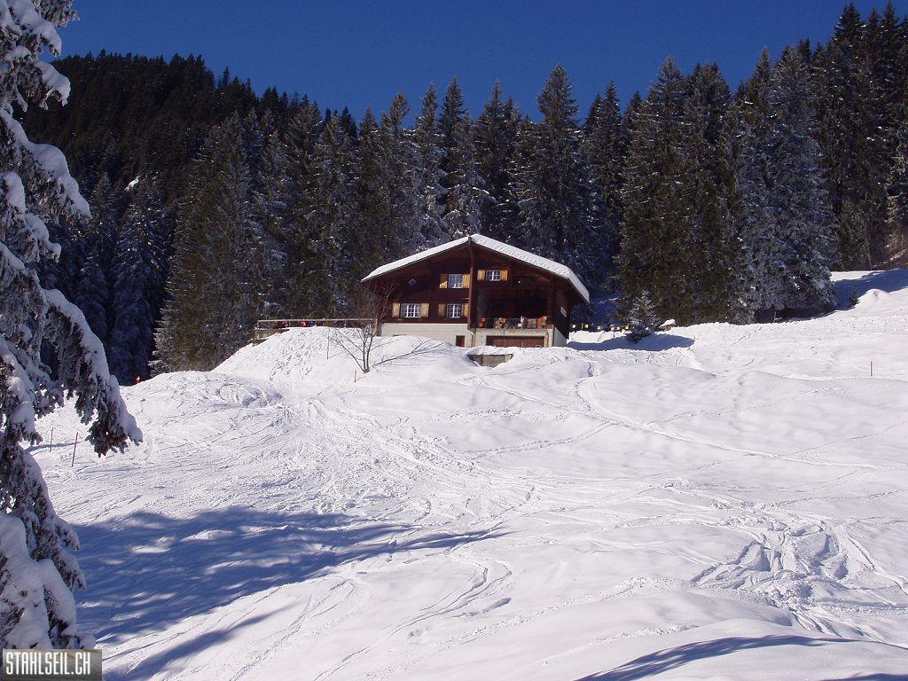 k-P1230076.JPG