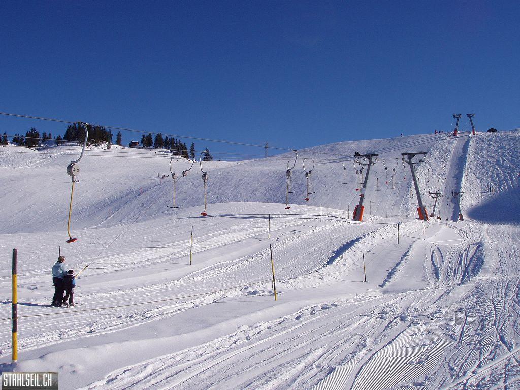 k-P1230174.JPG