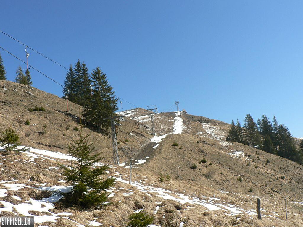 k-P1300994.JPG