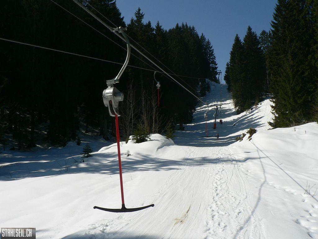 k-P1310002.JPG