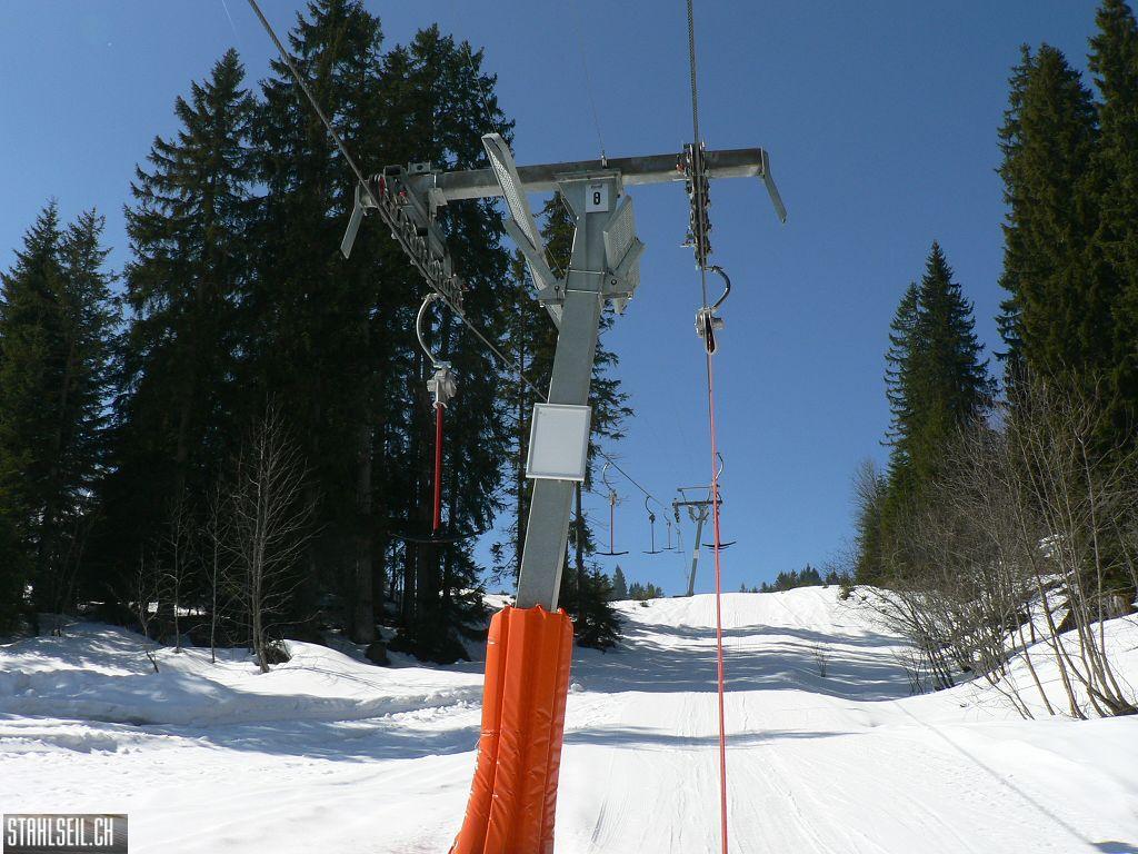 k-P1310011.JPG