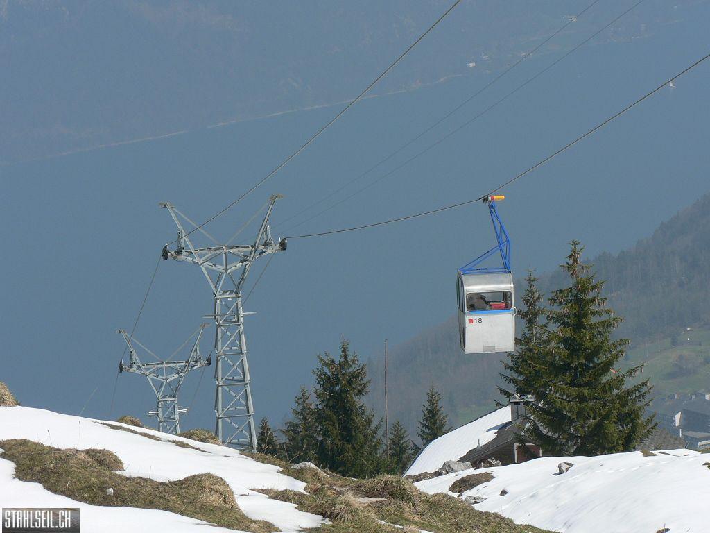 k-P1310064.JPG
