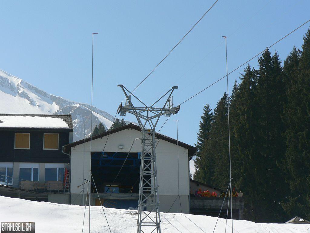 k-P1310078.JPG