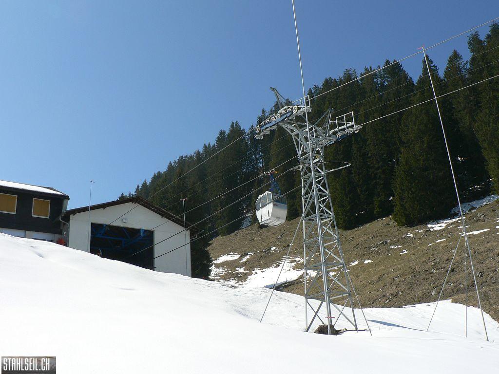 k-P1310103.JPG