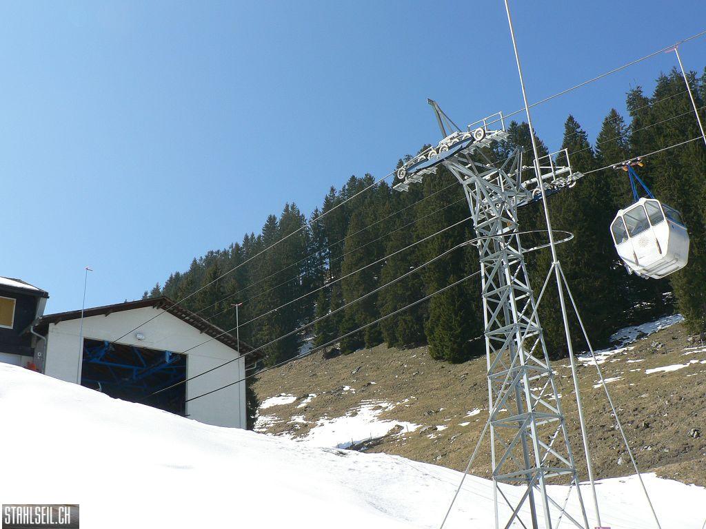 k-P1310114.JPG