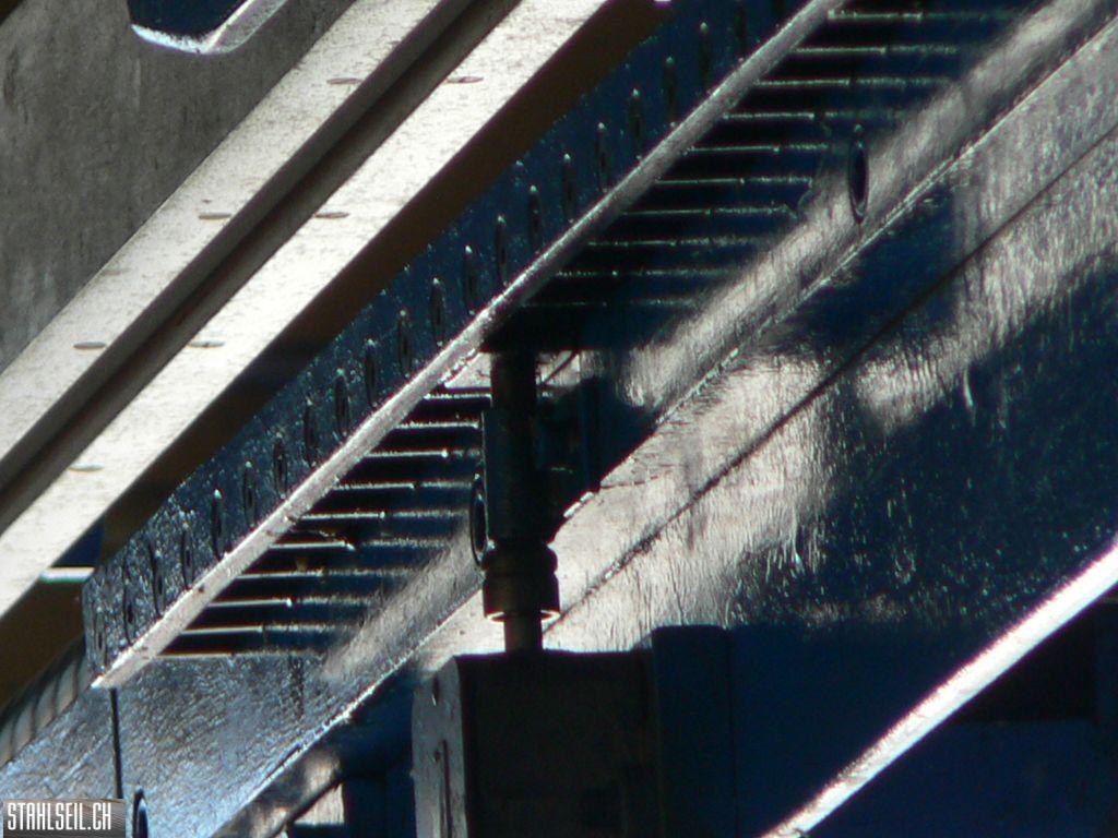 k-P1310148.JPG