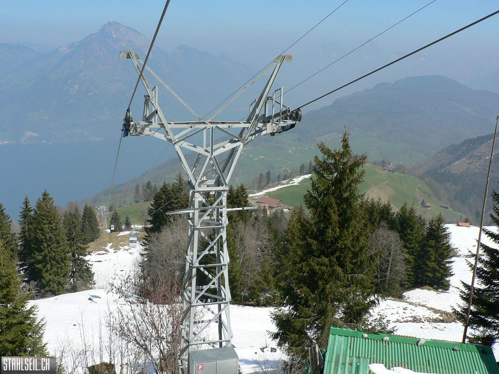 k-P1310181.JPG