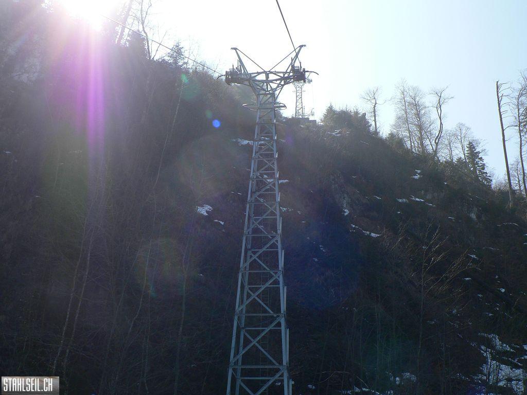 k-P1310198.JPG