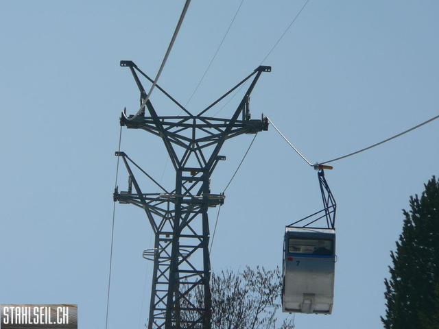 k-P1310314.JPG