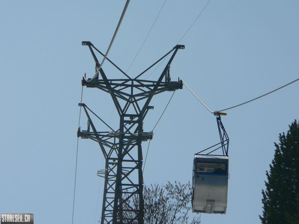 k-P1310314.JPG
