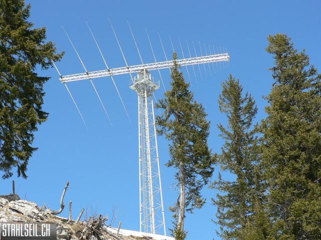 k-P1310339.JPG