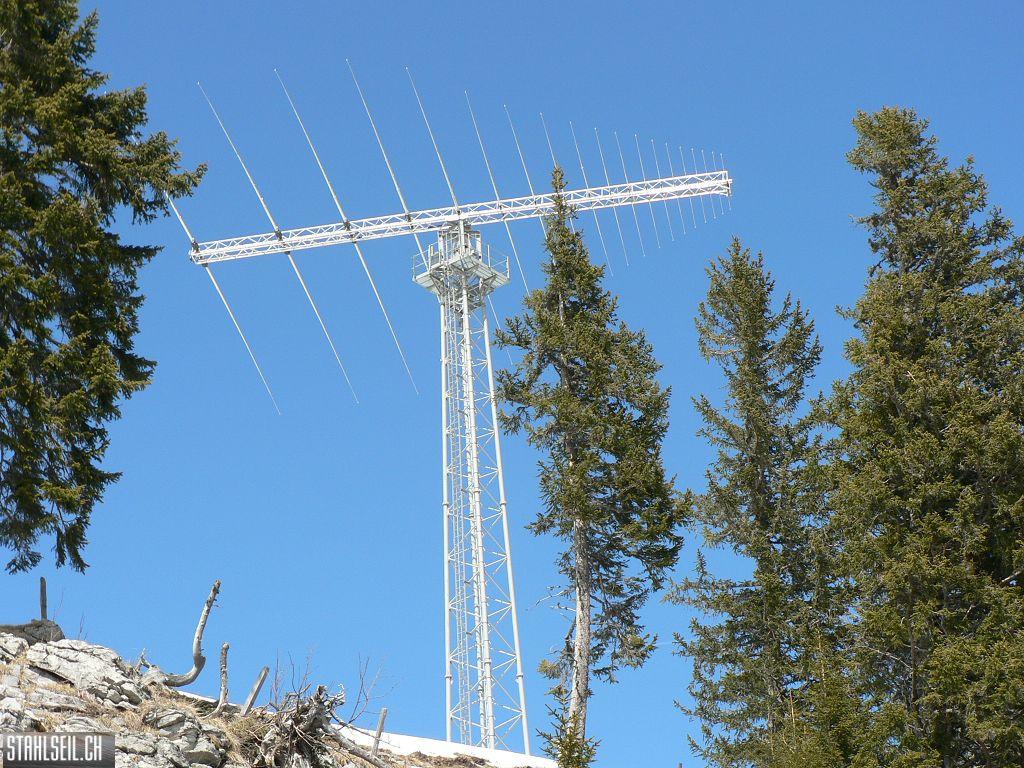 k-P1310339.JPG