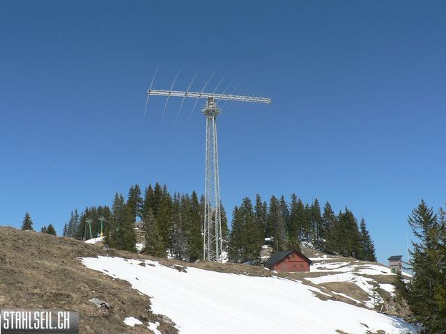 k-P1310342.JPG