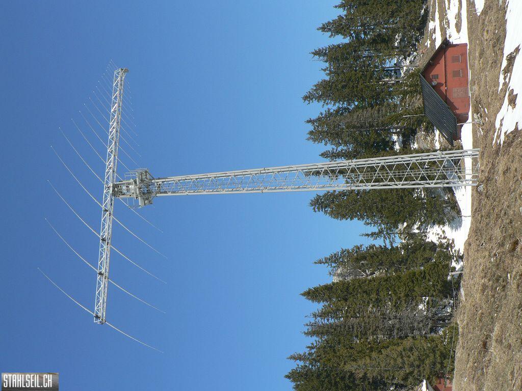 k-P1310343.JPG