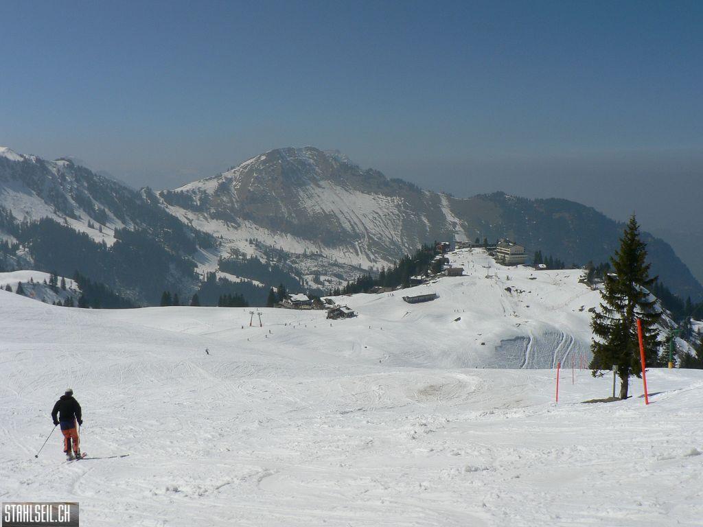 k-P1310367.JPG