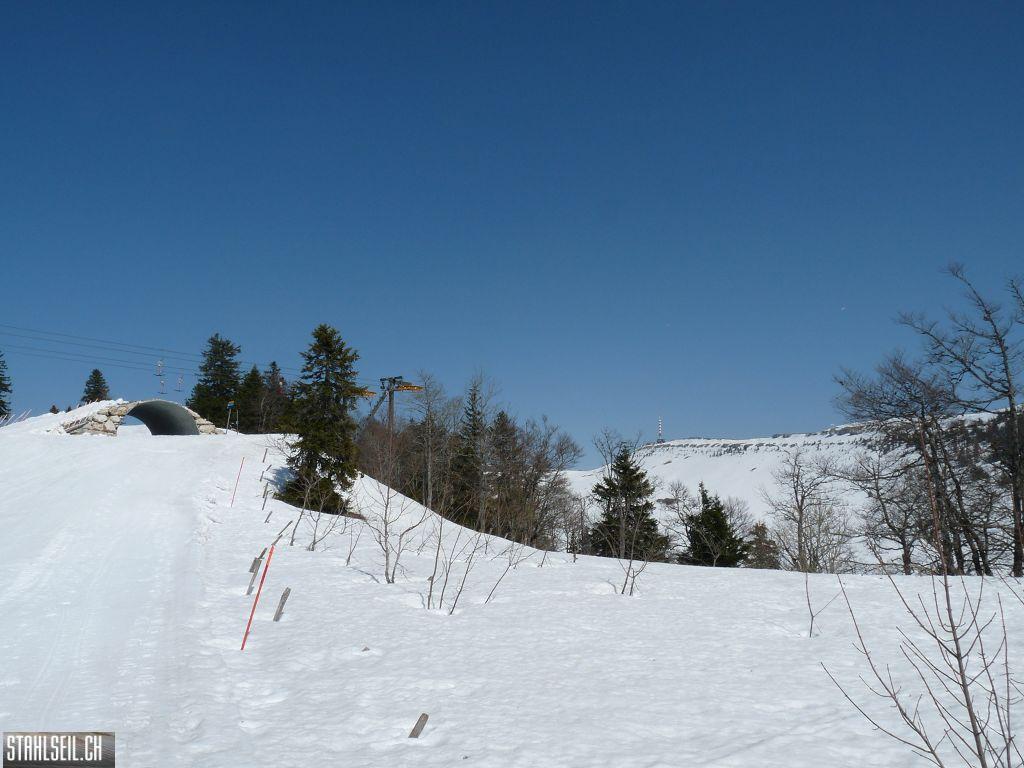 k-P1110496.JPG