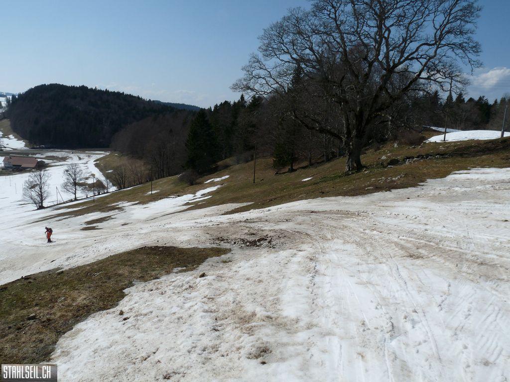 k-P1110502.JPG