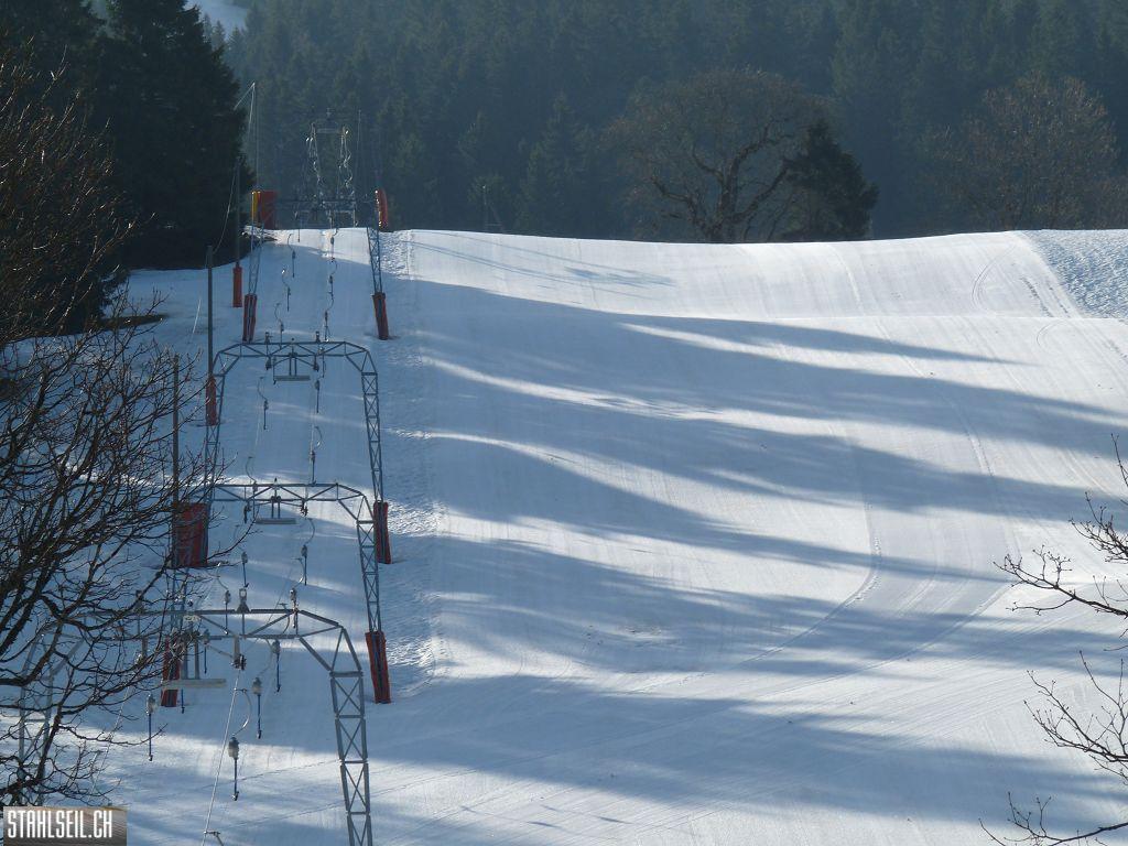 k-P1110296.JPG