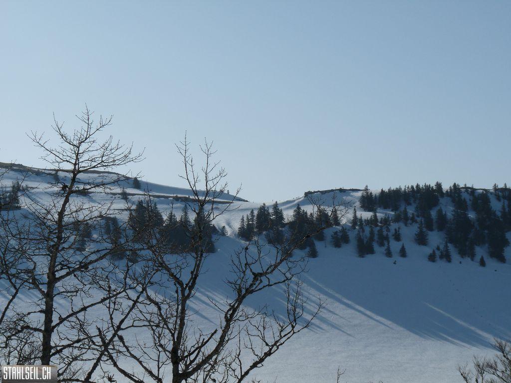k-P1110318.JPG