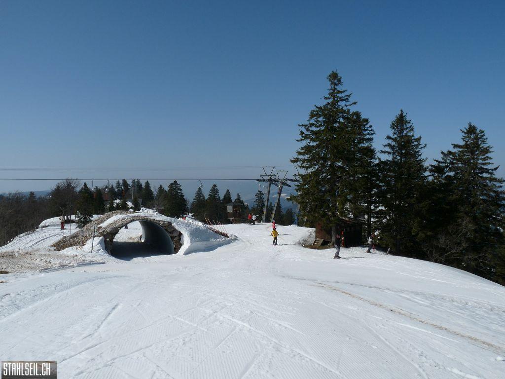 k-P1110399.JPG