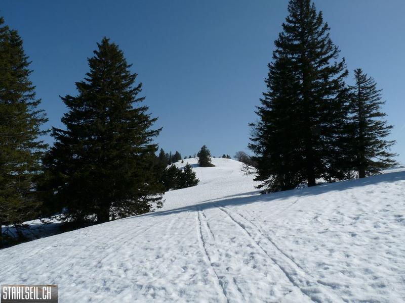 k-P1110401.JPG