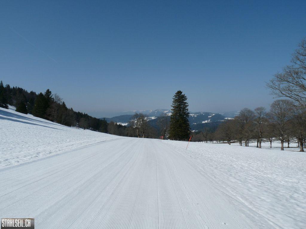 k-P1110405.JPG